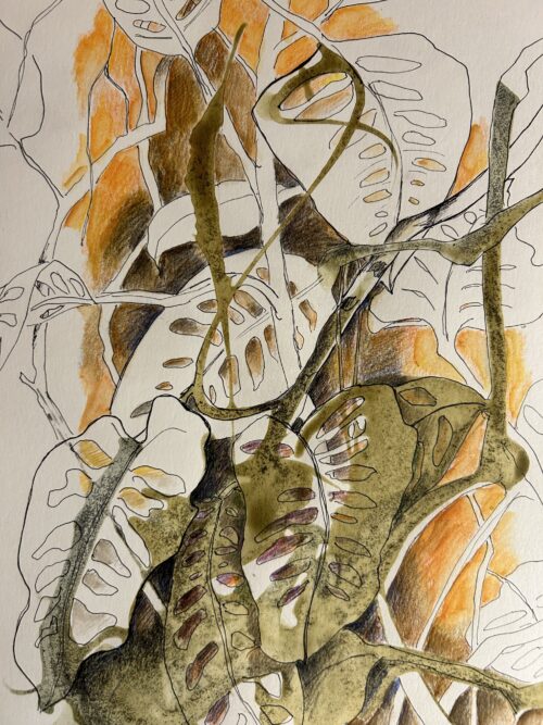 Botanischer Garten Skizze 4